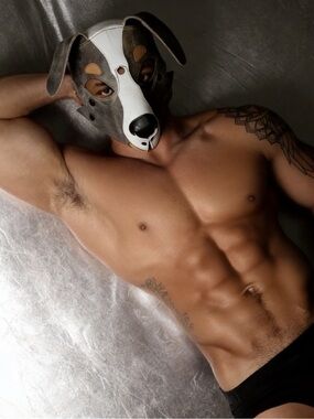 Puppy Dog Mask Leather Face Mask - Gray & White